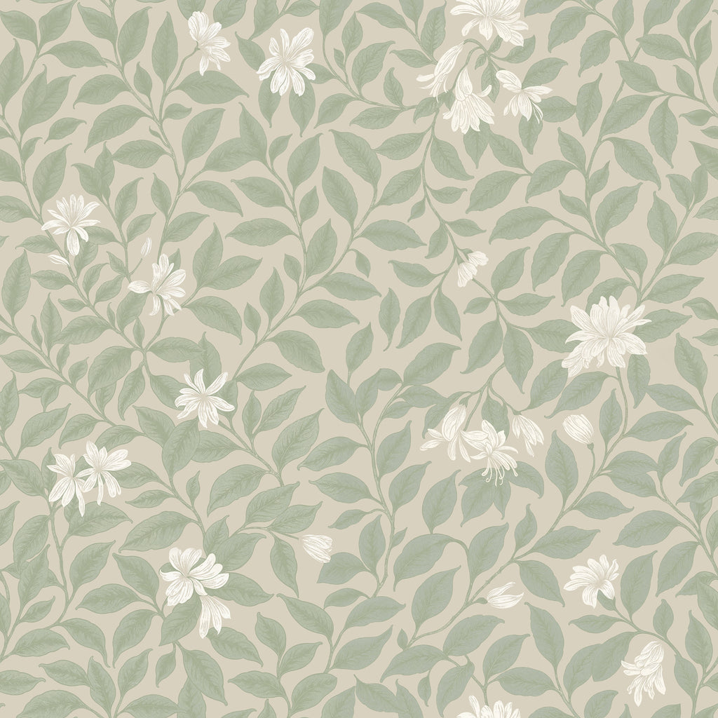 Poppy Honeysuckle Large (Cream) Wallpaper