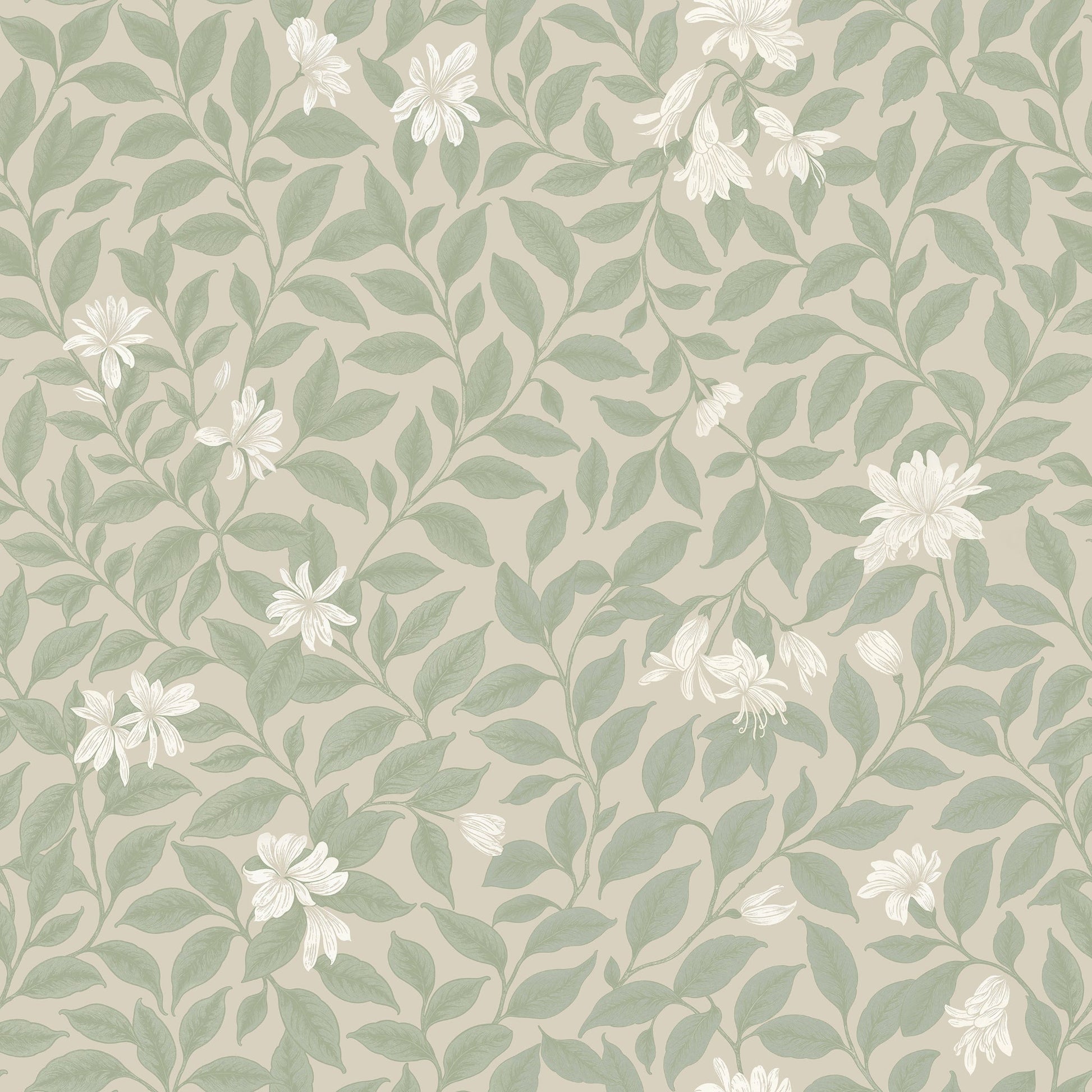Poppy Honeysuckle Small (Cream) Wallpaper